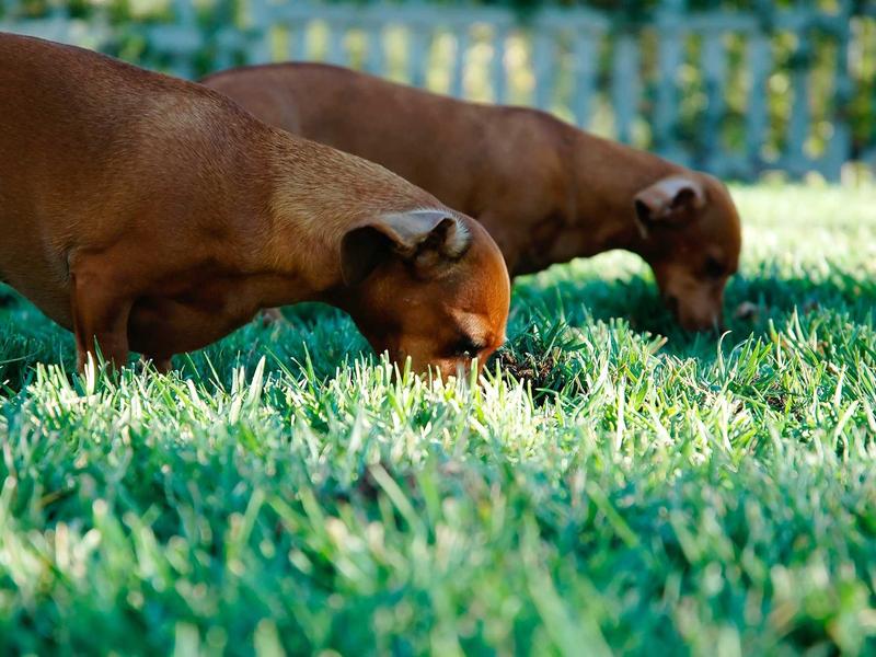 sudoku portrait mode screenshot 4